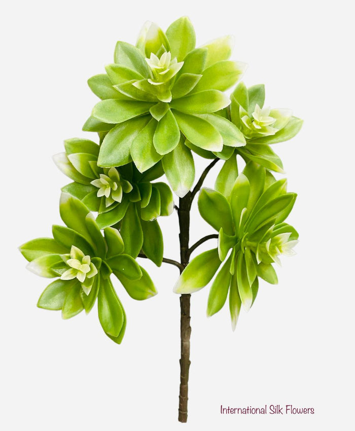 12'' Soft Touch Echeveria Spray ( CE0029-Green )