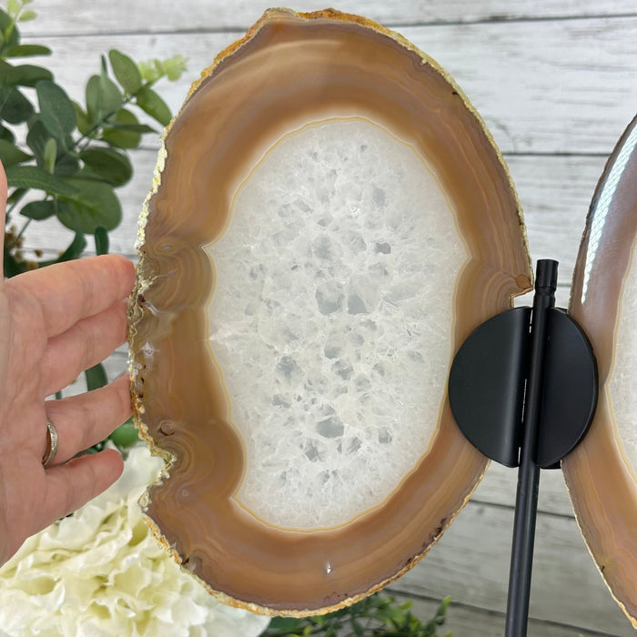 Natural Brazilian Agate "Butterfly Wings", 14" Tall #5050NA-076 - Brazil GemsBrazil GemsNatural Brazilian Agate "Butterfly Wings", 14" Tall #5050NA-076Agate Butterfly Wings5050NA-076