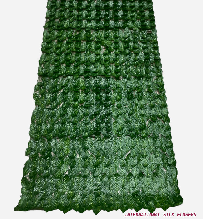 10' PHILO IVY MATT (  CYLL 0304 )