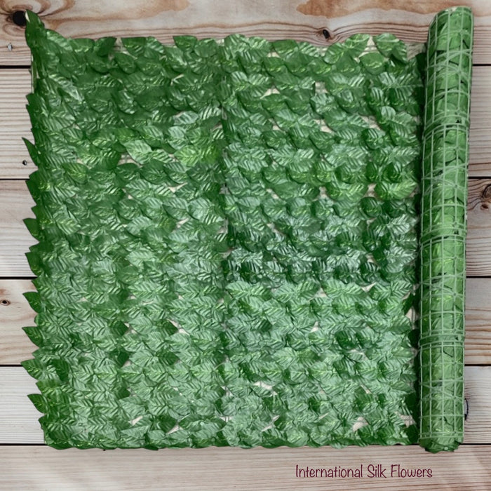 10' PHILO IVY MATT (  CYLL 0304 )
