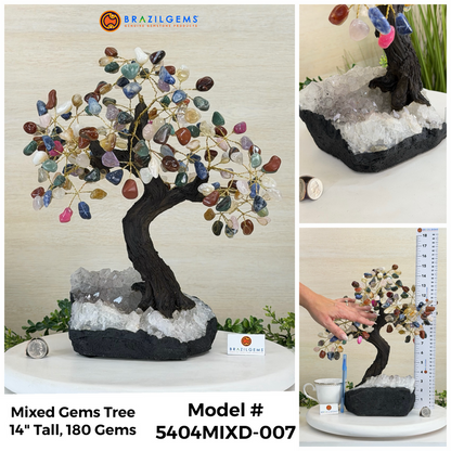 Mixed Gems / 5404MIXD-007