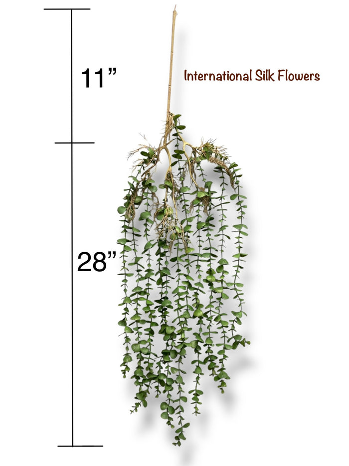 39'' Hanging Eucalyptus ( INT01611 )