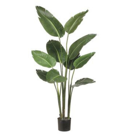 5’ Faux Bird of Paradise Plant ( LTB605-GR )