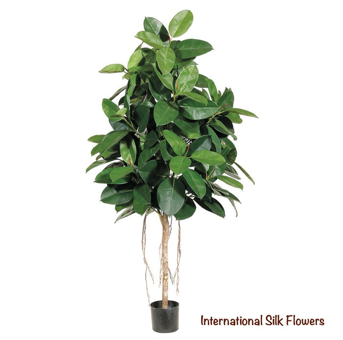 6’  Rubber Tree ( LTR505-GR/TT )