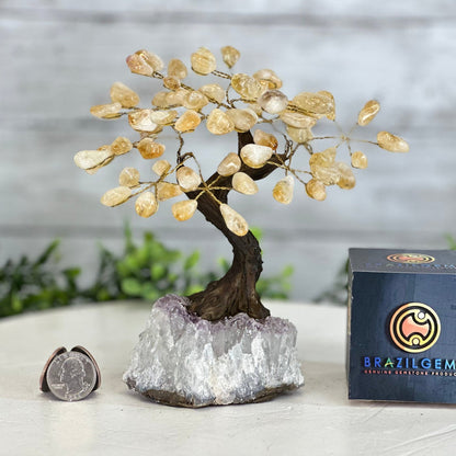 Citrine 7" Tall Handmade Gemstone Tree on a Crystal base, 60 Gems #5402CITR - Brazil GemsBrazil GemsCitrine 7" Tall Handmade Gemstone Tree on a Crystal base, 60 Gems #5402CITRGemstone Trees5402CITR