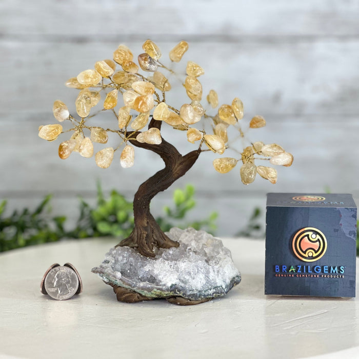 Citrine 7" Tall Handmade Gemstone Tree on a Crystal base, 60 Gems #5402CITR - Brazil GemsBrazil GemsCitrine 7" Tall Handmade Gemstone Tree on a Crystal base, 60 Gems #5402CITRGemstone Trees5402CITR