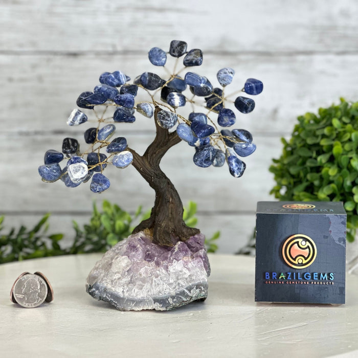 Sodalite 7" Tall Handmade Gemstone Tree on a Crystal base, 60 Gems #5402SODA - Brazil GemsBrazil GemsSodalite 7" Tall Handmade Gemstone Tree on a Crystal base, 60 Gems #5402SODAGemstone Trees5402SODA