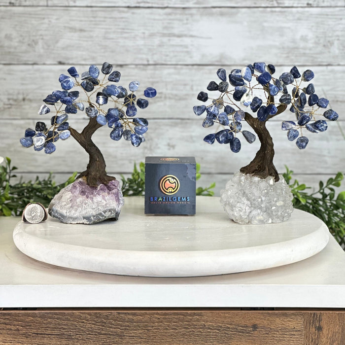 Sodalite 7" Tall Handmade Gemstone Tree on a Crystal base, 60 Gems #5402SODA - Brazil GemsBrazil GemsSodalite 7" Tall Handmade Gemstone Tree on a Crystal base, 60 Gems #5402SODAGemstone Trees5402SODA