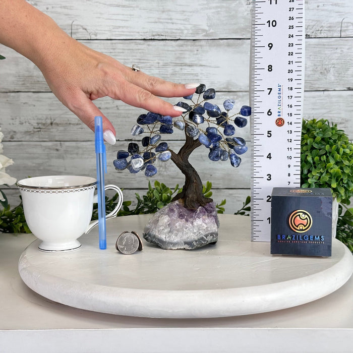 Sodalite 7" Tall Handmade Gemstone Tree on a Crystal base, 60 Gems #5402SODA - Brazil GemsBrazil GemsSodalite 7" Tall Handmade Gemstone Tree on a Crystal base, 60 Gems #5402SODAGemstone Trees5402SODA