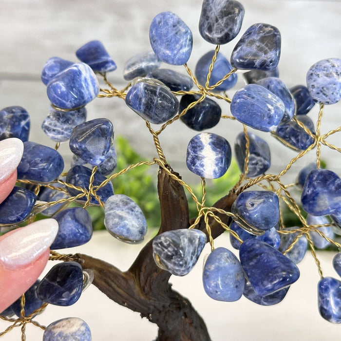 Sodalite 7" Tall Handmade Gemstone Tree on a Crystal base, 60 Gems #5402SODA - Brazil GemsBrazil GemsSodalite 7" Tall Handmade Gemstone Tree on a Crystal base, 60 Gems #5402SODAGemstone Trees5402SODA