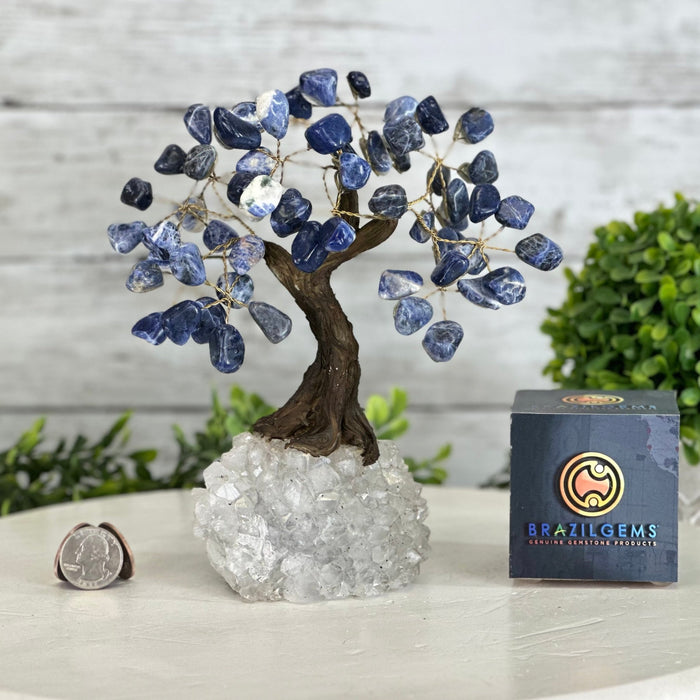 Sodalite 7" Tall Handmade Gemstone Tree on a Crystal base, 60 Gems #5402SODA - Brazil GemsBrazil GemsSodalite 7" Tall Handmade Gemstone Tree on a Crystal base, 60 Gems #5402SODAGemstone Trees5402SODA