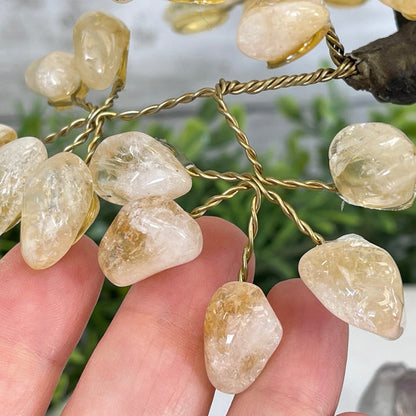 Citrine 9" Tall Handmade Gemstone Tree on a Crystal base, 120 Gems #5403CITR - Brazil GemsBrazil GemsCitrine 9" Tall Handmade Gemstone Tree on a Crystal base, 120 Gems #5403CITRGemstone Trees5403CITR