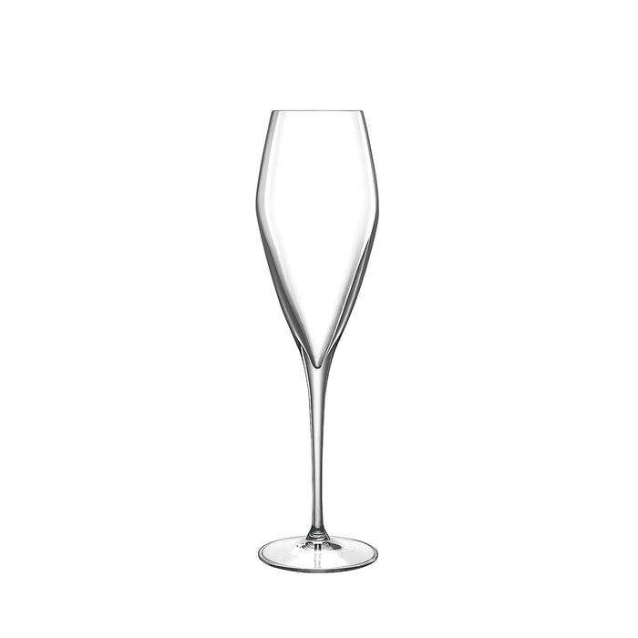 Italian Premium Champagne Glasses | 9.25oz | Atelier | Set of 6 - Luigi Bormioli USA
