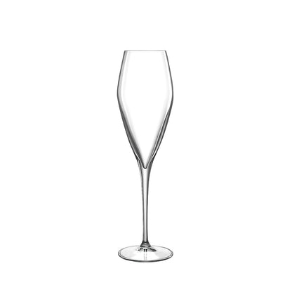 Italian Premium Champagne Glasses | 9.25oz | Atelier | Set of 6 - Luigi Bormioli USA