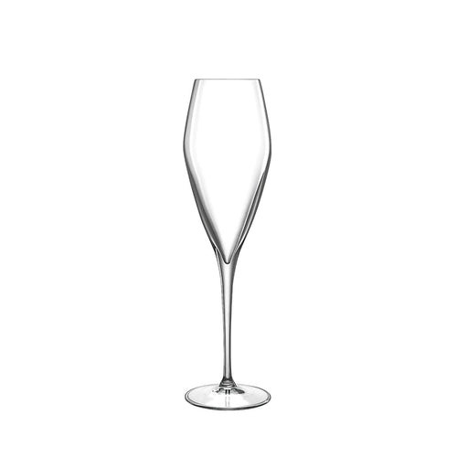 Italian Premium Champagne Glasses | 9.25oz | Atelier | Set of 6 - Luigi Bormioli USA