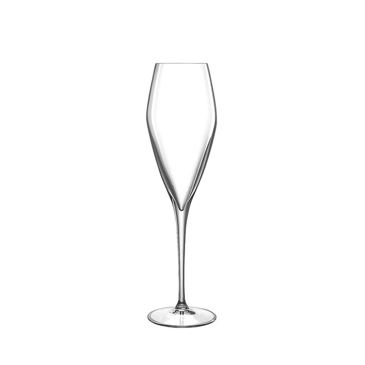 Italian Premium Champagne Glasses | 9.25oz | Atelier | Set of 6 - Luigi Bormioli USA