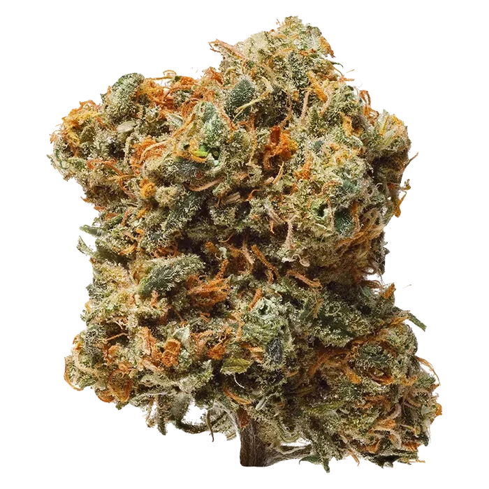Close-up front view of a single "Blue Dream" cannabis bud with frosty trichomes and vibrant orange pistils against a white background.