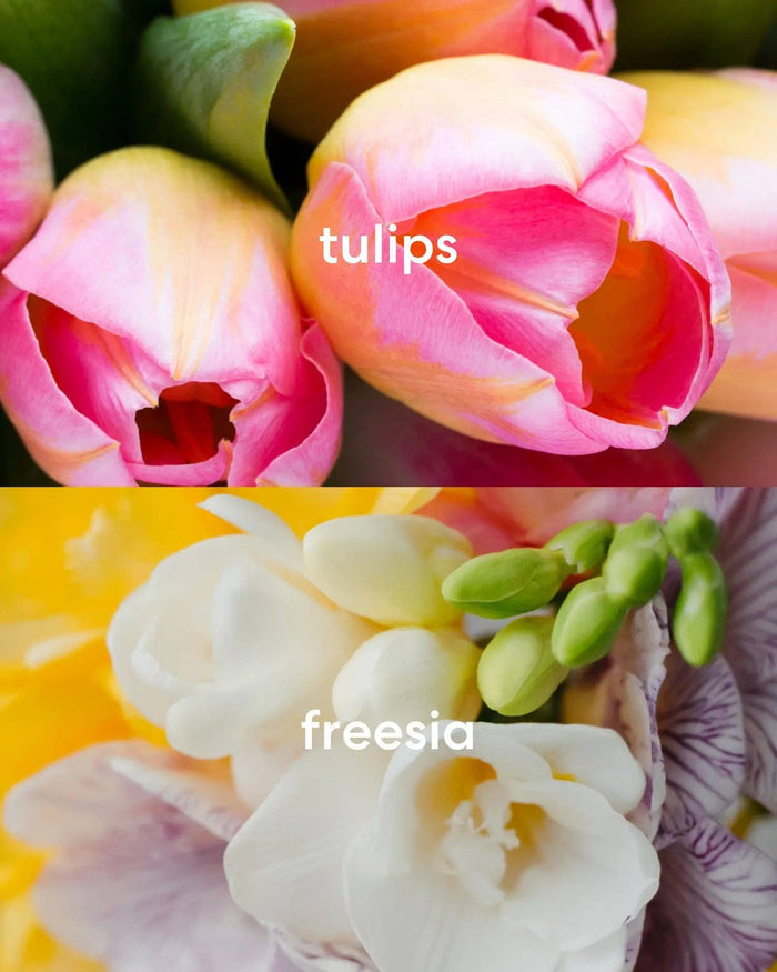Bodega Bouquets