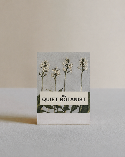Buckbean, Marsh Trefoil Botanical Matches