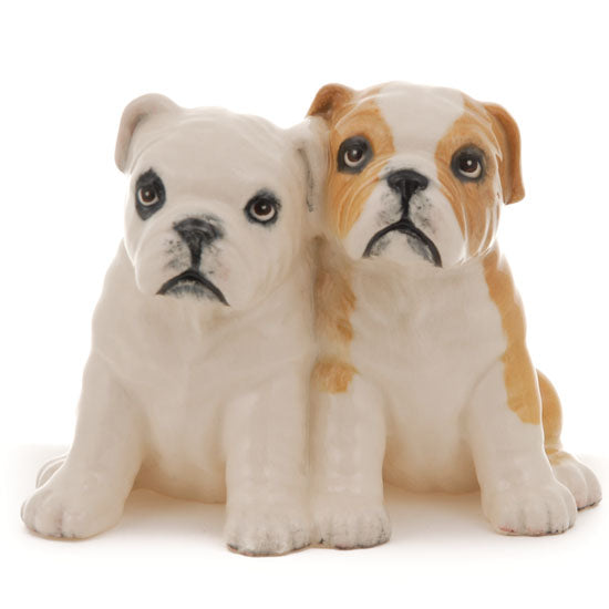 Bulldog Pups