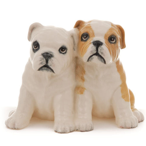 Bulldog Pups