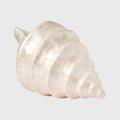 Capiz shell decorative object