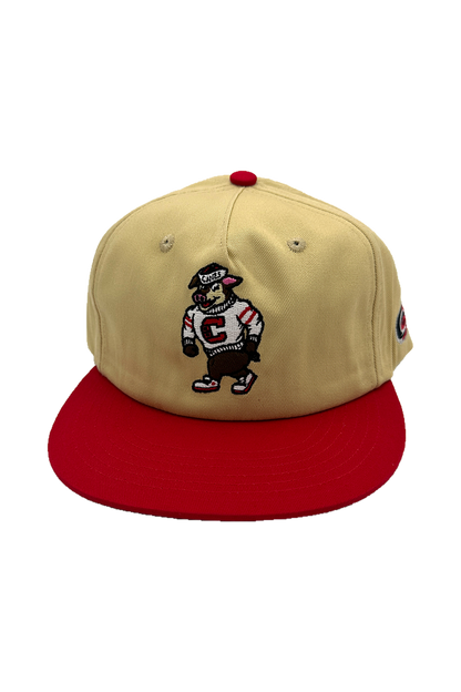 [ carolina hurricanes ] stormy - Official League