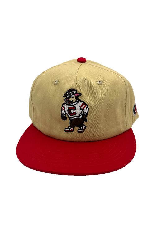 [ carolina hurricanes ] stormy - Official League