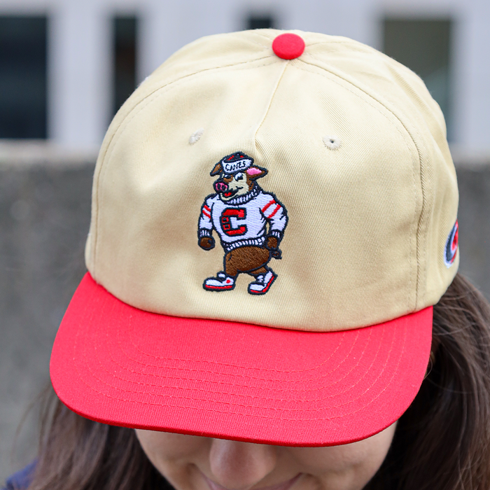[ carolina hurricanes ] stormy - Official League