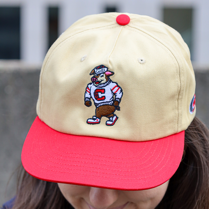 [ carolina hurricanes ] stormy - Official League