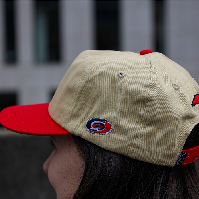 [ carolina hurricanes ] stormy - Official League