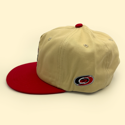 [ carolina hurricanes ] stormy - Official League