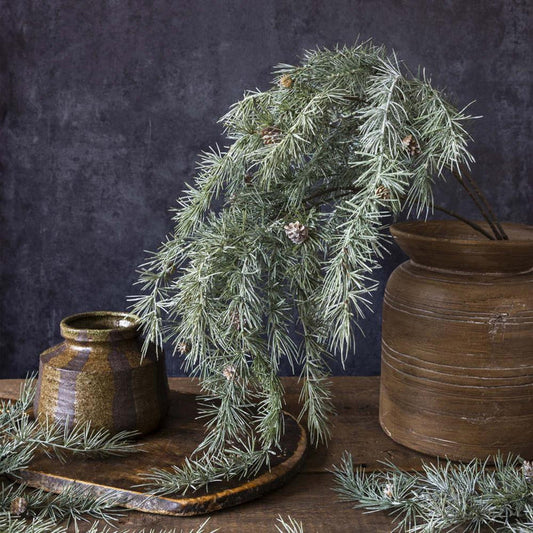 Cedar and Pinecone Branch