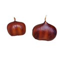 Chestnut Candle