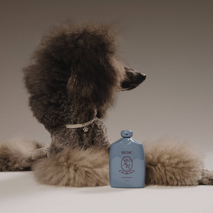 Cloud Cleanser - Gentle Shampoo For Dogs