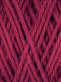 Coastal Cotton Amaranth