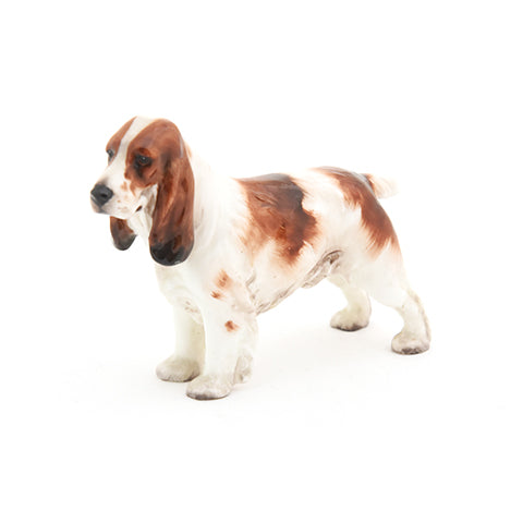 Cocker Spaniel