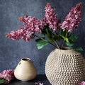 Cone Hydrangea- Sunset