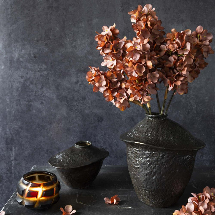 Cone Hydrangea, Antique Pink