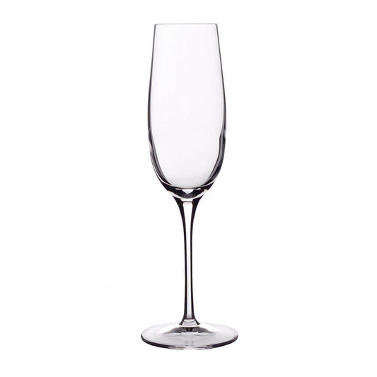 Italian Premium Flute Glasses | 8.25oz | Crescendo | Set of 4 - Luigi Bormioli USA