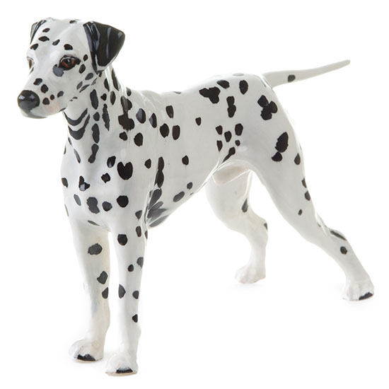 Dalmatian Small