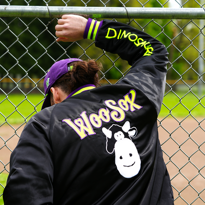 [ dinosaur jr. x worcester red sox ] the satin - Official League