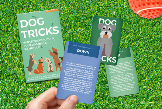 DOG TRICKS