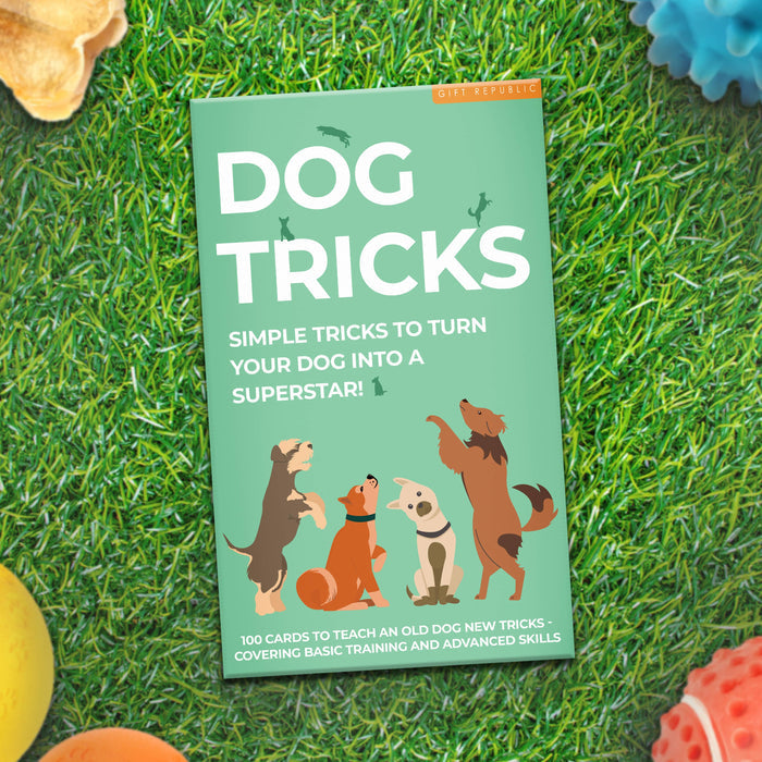 DOG TRICKS