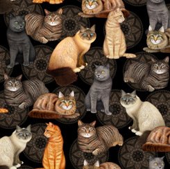 Felicity CAT AND MEDALLION J