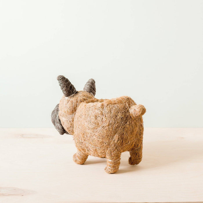 French Bulldog Planter - Coco Coir Pots | LIKHÂ
