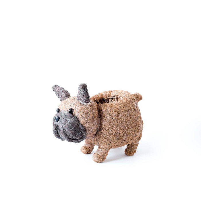 French Bulldog Planter - Coco Coir Pots | LIKHÂ