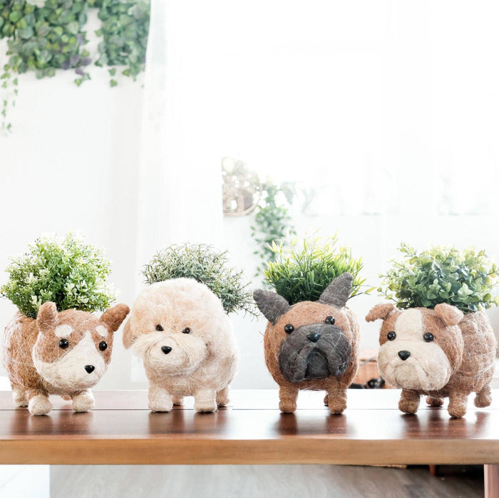 French Bulldog Planter - Coco Coir Pots | LIKHÂ