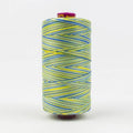 Fruitti Variegated 12wt Cotton Thread 400m Bright Day
