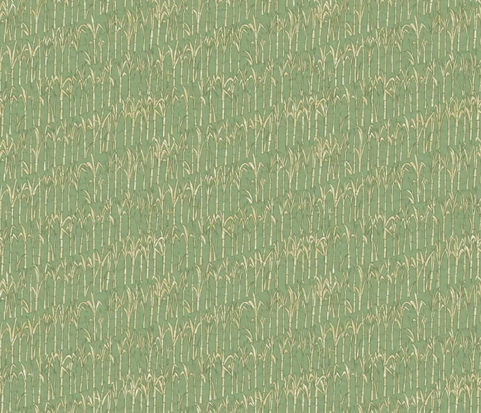 German Coast Green